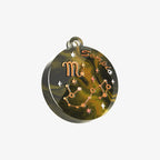 Scorpio Zodiac Resin Mold