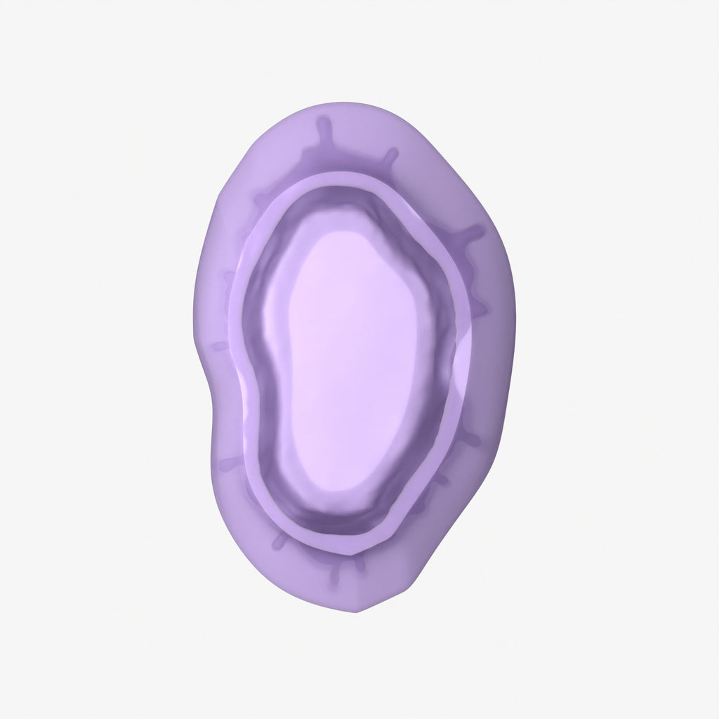 Oval Water Splash Tray Mold