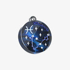 Pisces Zodiac Resin Mold